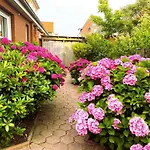 With 1 Bedroom Borkum
