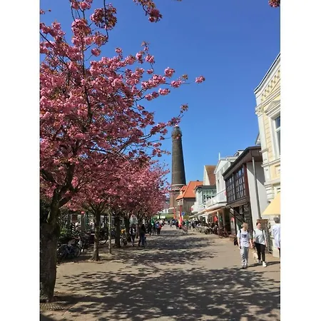 With 1 Bedroom בורקום